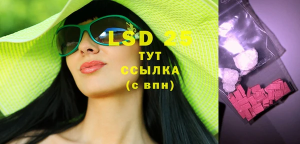 винт Ельня