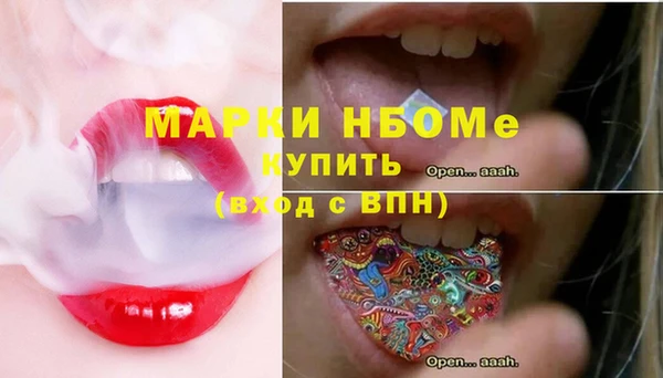 винт Ельня