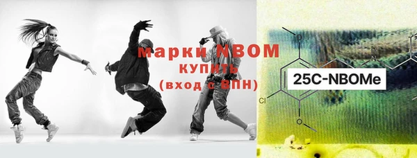 винт Ельня
