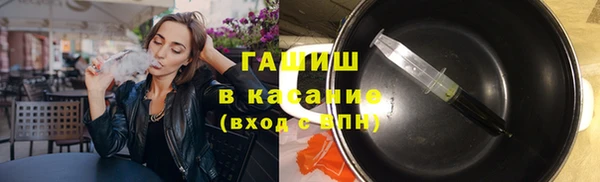 винт Ельня