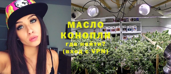 винт Ельня