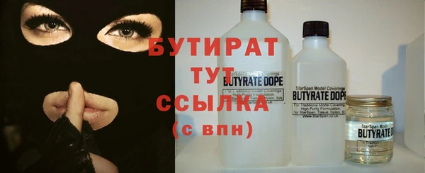 винт Ельня