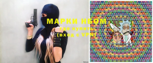 винт Ельня