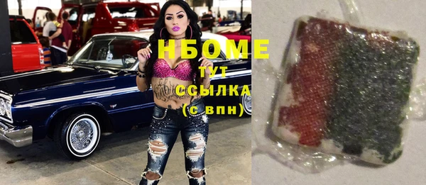 винт Ельня