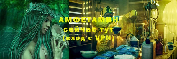 винт Ельня