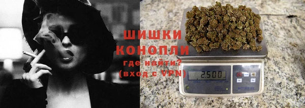 винт Ельня