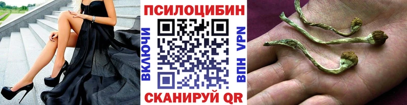 Купить где  Дивногорск  Псилоцибиновые грибы Magic Shrooms 